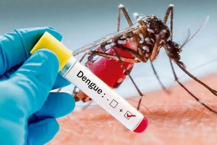 डेंगू बुखार के कारण, लक्षण एवं घरेलु उपचार | Dengu Fever Symptoms, Precautions, Treatment in Hindi