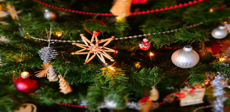 क्रिसमस कैसे मनाते हैं | How Do I Make Christmas in Hindi | Christmas kaise Manate Hain