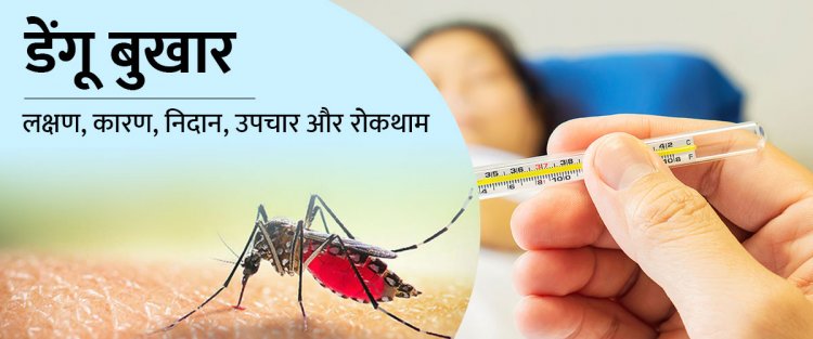 डेंगू बुखार: रोकथाम और उपाय | Dengue Fever Supportive Therapy