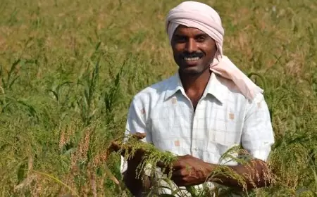 झारखंड में मॉनसून की एंट्री से मचा हड़कंप! किसानों की खुशियों का ठिकाना नहीं!