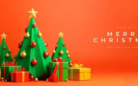 क्रिसमस कैसे मनाते हैं | How Do I Make Christmas in Hindi | Christmas kaise Manate Hain