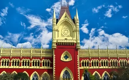 पश्चिम बंगाल कलकत्ता उच्च न्यायालय मामले की स्थिति और वाद सूची | West Bangal Calcutta High Court Case Status and Cause List