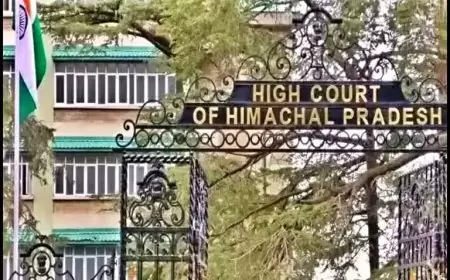 हिमाचल प्रदेश उच्च न्यायालय मामले की स्थिति और वाद सूची | Himachal Pradesh High Court Case Status and Cause List