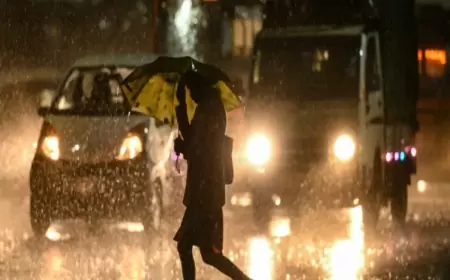 झारखंड में मौसम मेहरबान, झमाझम बारिश का दौर जारी; लेकिन रांची में मॉनसून कब होगा सक्रिय