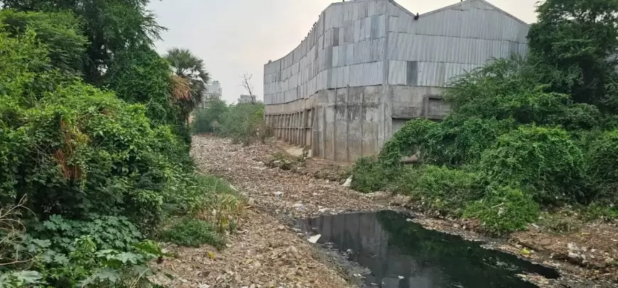 जुगसलाई और बागबेड़ा के नाले पर अतिक्रमण: कांग्रेस जिला सचिव समेत कई पर कार्रवाई की गाज गिर सकती है