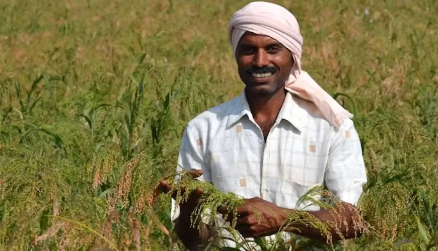 झारखंड में मॉनसून की एंट्री से मचा हड़कंप! किसानों की खुशियों का ठिकाना नहीं!