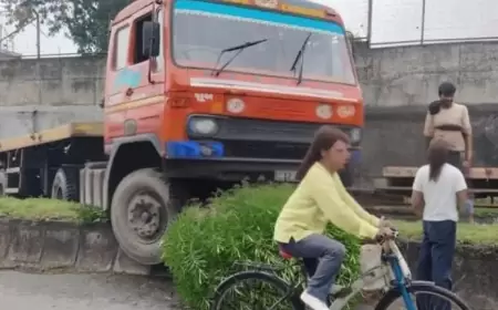 बर्मामाइंस में अनियंत्रित ट्रेलर डिवाइडर पर चढ़ी, चालक फरार