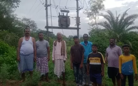 उलदा के दिगड़ी में 5 दिनों से खराब ट्रांसफार्मर, ग्रामीणों की बढ़ी परेशानी - क्या होगा अब?