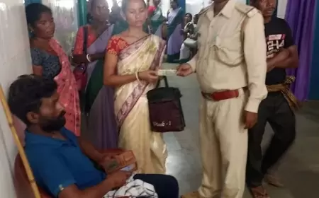 खैरबनी से लौटते वक्त हाथियों के हमले में ग्रामीण घायल,वन विभाग ने दी मदद !
