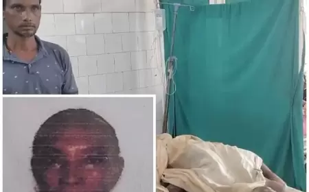 जमशेदपुर ग्रामीण क्षेत्र में हाथी का हमला: चाकुलिया में वृद्ध महिला की मौत