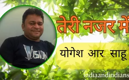 तेरी नजर में - योगेश आर साहू , महाराष्ट्र