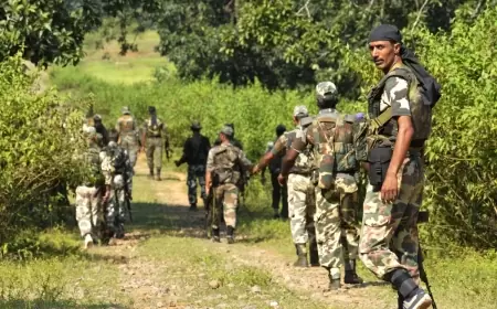 नक्सलियों का खौफनाक चेहरा: सोनुआ में युवक की गोली मारकर हत्या, मोटरसाइकिल जलाई