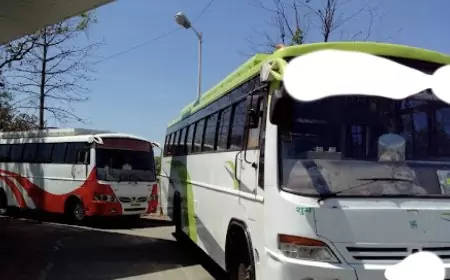 बारात की खुशियों पर बिजली का कहर! हाईटेंशन तार की चपेट में आई बस, तीन की दर्दनाक मौत