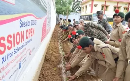 "एक कैडेट, एक वृक्ष" अभियान के तहत संत नन्दलाल स्मृति विद्या मंदिर के एनसीसी कैडेट्स ने स्कूल परिसर में पौधरोपण किया।