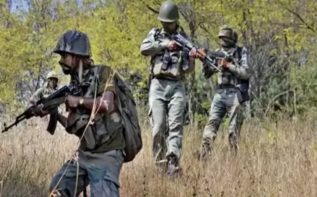 सारंडा के जंगलों में नक्सलियों का खूनी खेल! सुरक्षाबलों ने दी करारी मात, भारी मात्रा में गोला-बारूद बरामद!
