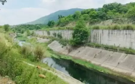 बोड़ाम नहर में युवती का शव मिलने से मचा हड़कंप