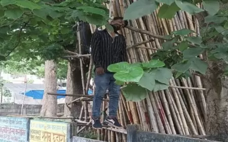 जमशेदपुर: सपलायर चौक पर फांसी पर लटका मिला व्यक्ति, हत्या की आशंका?