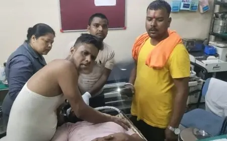 दो लोगों पर पिस्टल की बट से हमला, जेल से आया आरोपी भी घायल