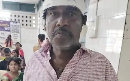 जमशेदपुर का बेकाबू सांड आतंक – भुइयांडीह स्वर्णरेखा बर्निंग घाट के समीप सांड ने व्यक्ति को पटका, घायल