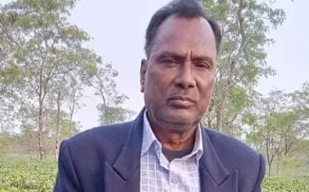 जाने-माने अधिवक्ता मिथिलेश पांडे का निधन: बार एसोसिएशन ने जताई गहरी संवेदना