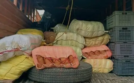 रामगढ़ में दो करोड़ रुपये का 490 किलोग्राम गांजा जब्त, ट्रक चालक गिरफ्तार!