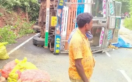ट्रक पलटा, आलू बिखरे, ग्रामीणों की 'फ्री फॉर ऑल' में आलू लूटने की होड़