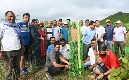प्राकृतिक संतुलन के लिए गोविंदपुर थीम पार्क सड़क के किनारे लोगों ने लगाऐ 100 पौधे , नियमित संरक्षण का लिया संकल्प।