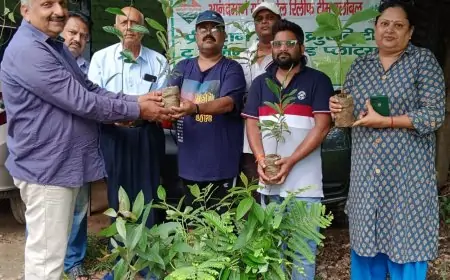 पृथ्वी पर ऑक्सीजन की मात्रा को संतुलित रखने के लिए आनंद मार्ग ने सोनारी शांति समिति में बांटे 100 पौधे