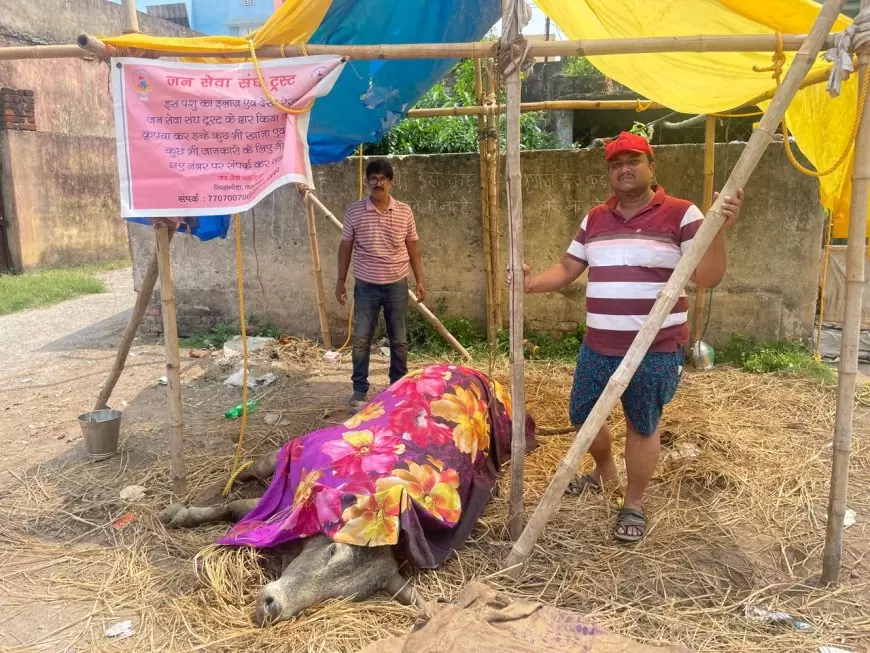 क्या डॉक्टर की लापरवाही ने ली बैल की जान? विद्यापति नगर की दिल दहला देने वाली घटना!