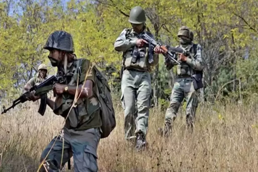 सारंडा के जंगलों में नक्सलियों का खूनी खेल! सुरक्षाबलों ने दी करारी मात, भारी मात्रा में गोला-बारूद बरामद!