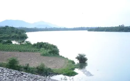 विधायक सरयू राय ने पेयजल संकट पर दिया समाधान का सुझाव