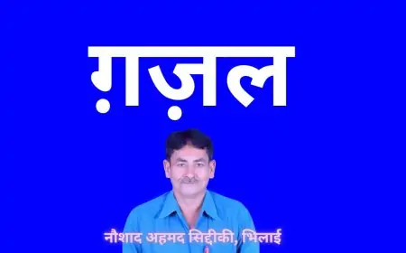 ग़ज़ल  - डा, नौशाद अहमद सिद्दीकी,  दुर्ग, छत्तीसगढ़