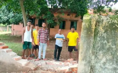चांडिल में जंगली हाथी का तांडव, मुखिया मनोहर ने लिया जायजा
