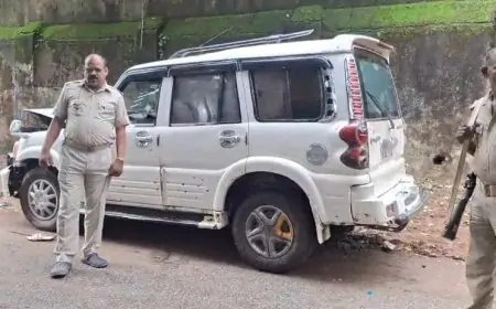 जमशेदपुर: स्कॉर्पियो में गाय चोरी का प्रयास, दुर्घटना के बाद चोरों के मंसूबे नाकाम