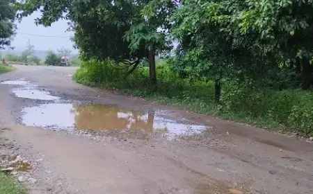 मुसाबनी प्रखंड कार्यालय से बागजाता यूरेनियम प्रोजेक्ट की जर्जर सड़क पर जिला परिषद ने जताई नाराज़गी, जल्द निर्माण की मांग