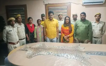 जमशेदपुर में 10 करोड़ की तेंदुए की खाल के साथ तीन गिरफ्तार: वन विभाग की बड़ी कार्रवाई, जानें पूरे मामले की सच्चाई!