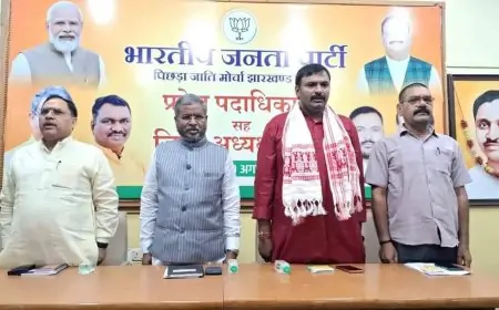 भाजपा ओबीसी मोर्चा झारखंड की बैठक संपन्न, लिए गए कई बड़े निर्णय