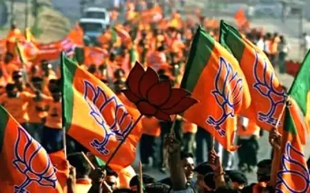 हेमंत सरकार की नाकामियों के खिलाफ भाजपा का मशाल जुलूस, जमशेदपुर में सत्ता के खिलाफ उठे विरोध के स्वर