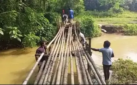चाकुलिया: कालियाम पंचायत के ग्रामीणों ने श्रमदान से बनाया चचरी पुल, 12 परिवारों को मिली राहत