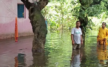 विधायक सरयू राय के प्रयास से टेल्को मंदिर की सफाई अभियान, कृष्ण जन्माष्टमी से पहले मंदिर प्रांगण हुआ स्वच्छ