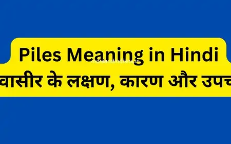Piles Meaning in Hindi – बवासीर के लक्षण, कारण और उपचार