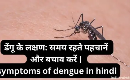 डेंगू के लक्षण: समय रहते पहचानें और बचाव करें | symptoms of dengue in hindi