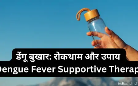 डेंगू बुखार: रोकथाम और उपाय | Dengue Fever Supportive Therapy