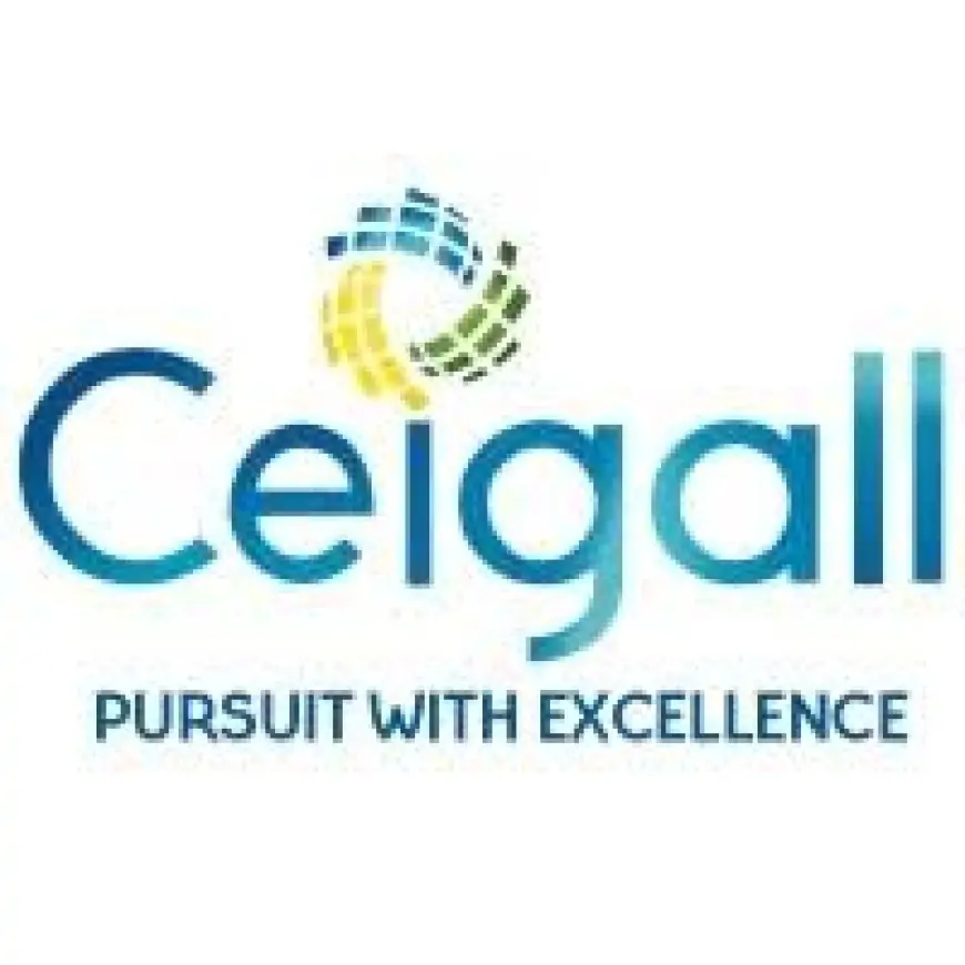 Ceigall India IPO: सबसे तेजी से बढ़ती इंफ्रास्ट्रक्चर कंपनी का सुनहरा अवसर!