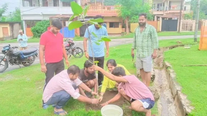 भाजपा बारीडीह मंडल का "एक पेड़ मां के नाम" कार्यक्रम: पर्यावरण संरक्षण की दिशा में महत्वपूर्ण पहल