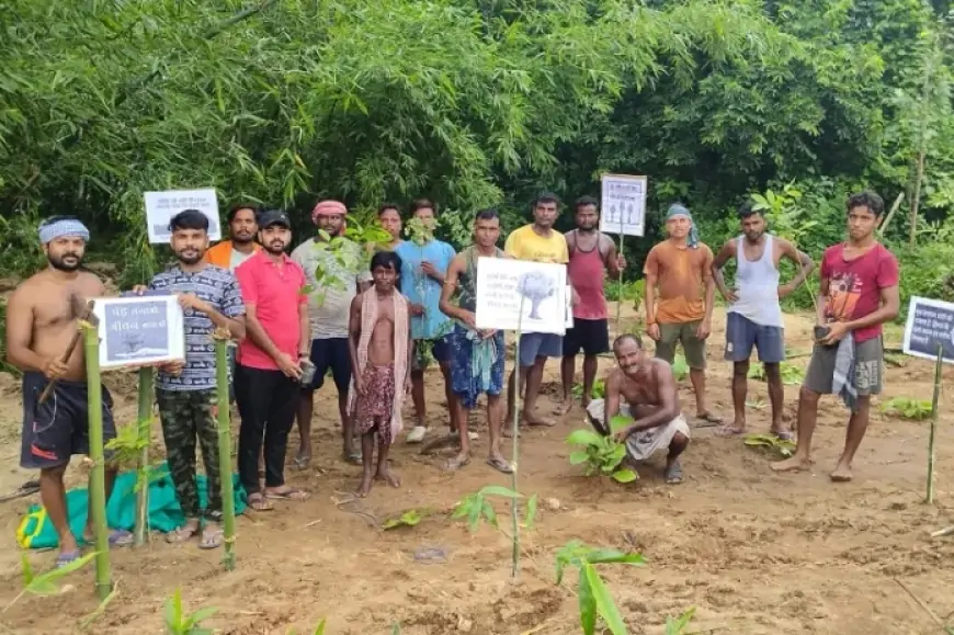 बहरागोड़ा के मधुआबेड़ा गांव में यूथ क्लब ने चलाया पौधरोपण अभियान, 80 पौधे लगाकर दिया पर्यावरण संरक्षण का संदेश