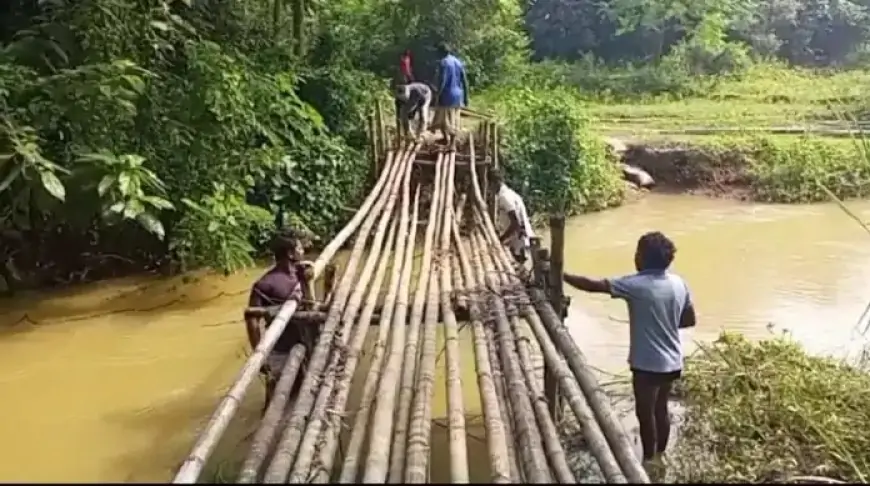 चाकुलिया: कालियाम पंचायत के ग्रामीणों ने श्रमदान से बनाया चचरी पुल, 12 परिवारों को मिली राहत