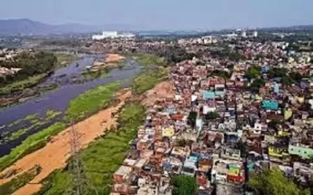 जमशेदपुर में 150 घर तोड़ने के नोटिस पर एनजीटी में सुनवाई, प्रशासन को लगा फटकार