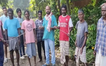 तुमबुरू गांव में हाई टेंशन तार गिरा, बड़ा हादसा टला, ग्रामीणों में आक्रोश