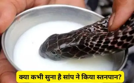 झारखंड में चौंकाने वाली घटना: क्या कभी सुना है सांप ने किया स्तनपान?